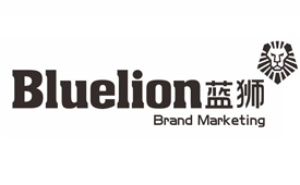 蓝狮网站开发