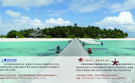 和平国旅广告单页