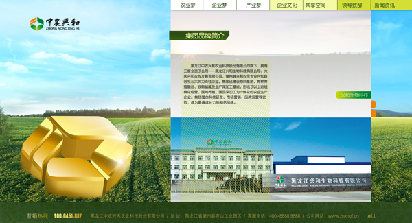 绿色食品网站开发