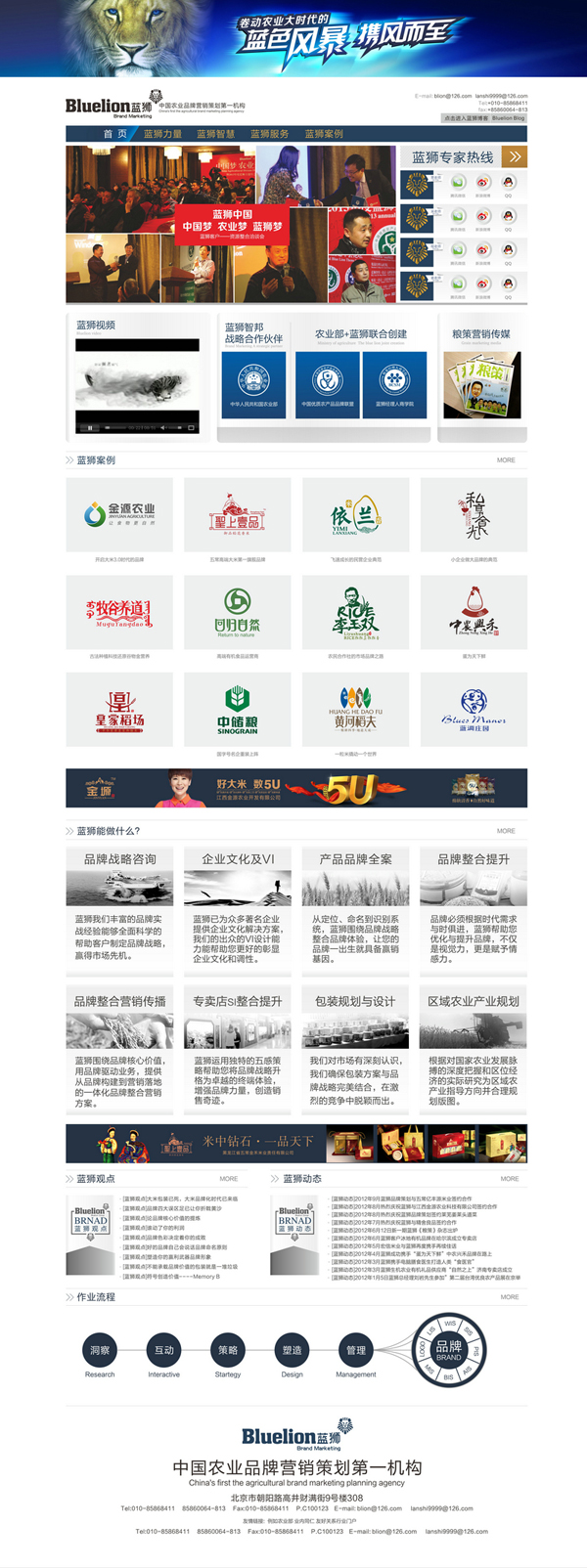 蓝狮品牌设计网站开发