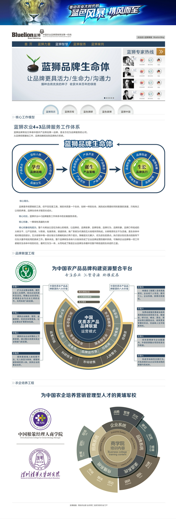 蓝狮品牌设计网站开发