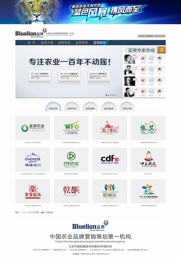 蓝狮品牌设计网站开发